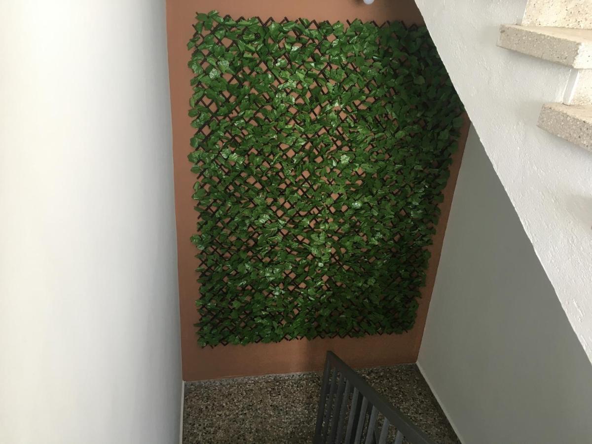 Apartman Ellenapa Apts & *